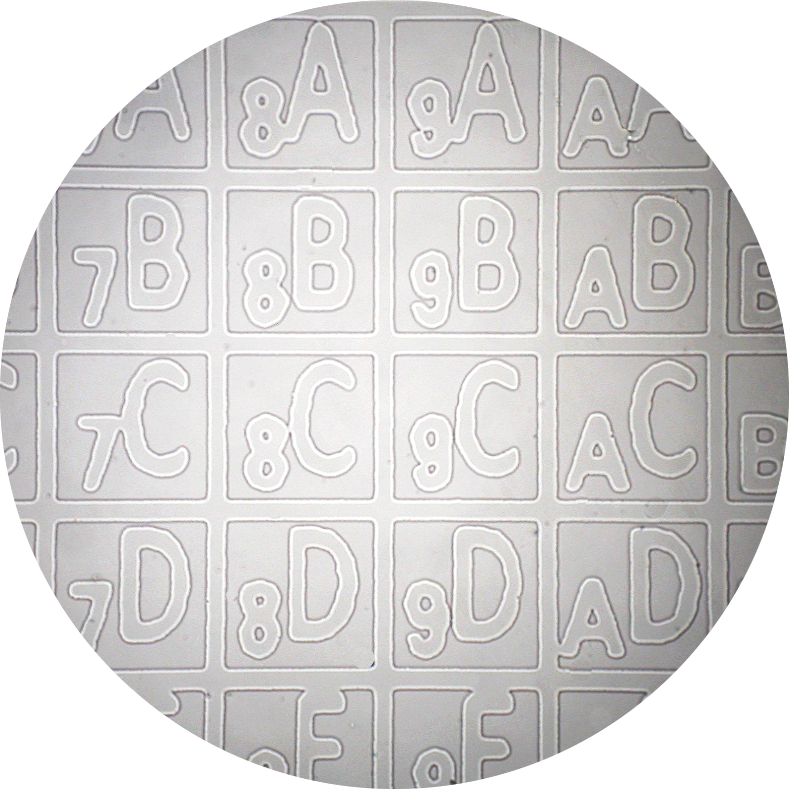 gridded coverslip sample