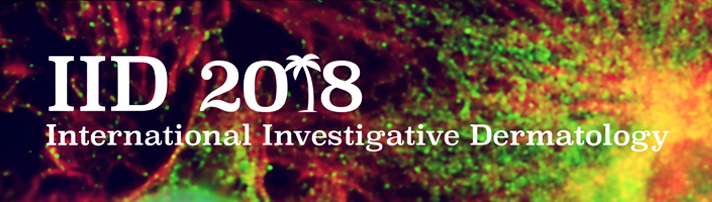 IID 2018 Conference banner image